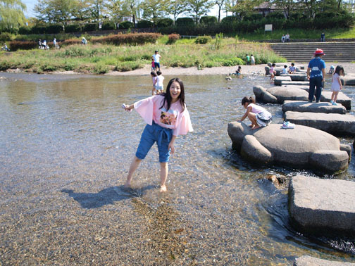 鴨川(賀茂川)にかかる飛び石(亀)