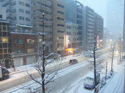 2014年2月に降る雪。都心の様子