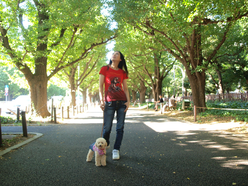 紅葉の時期に、また連れて来よう