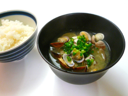 あさりのお味噌汁