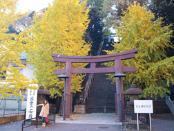 愛宕神社の出世の石段