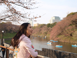 千鳥ヶ淵の桜、まだ咲いてないよ
