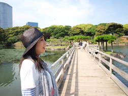 お伝い橋から潮入りの池を覗くと小魚がいっぱい