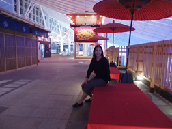 羽田国際空港