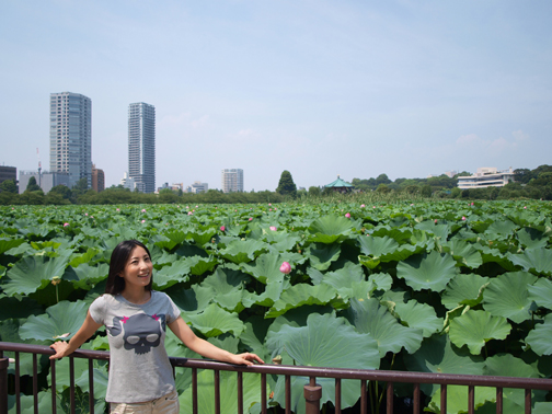 蓮(ハス)の花が咲いてるよ。上野公園の不忍池(2011年8月17日)