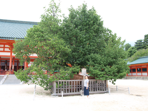 平安神宮