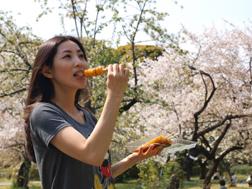 一串に7個もささってる