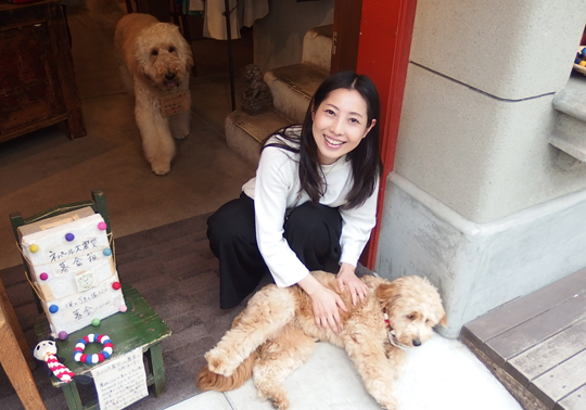 中華街teftef看板犬ロコちゃん