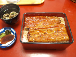 柴又にある川千家(かわちや)のうな重(竹)だよ