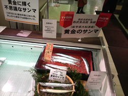 黄金のサンマ