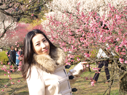 小石川植物園の梅