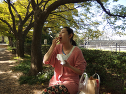 小石川植物園のベンチ