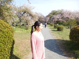 小石川植物園に来たよ