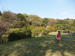小石川植物園て広いよね