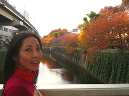 桜並木が紅葉してる