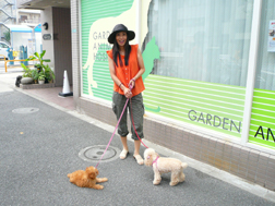 予防接種で動物病院へ