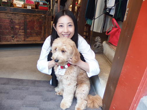 中華街teftef看板犬ロコちゃん