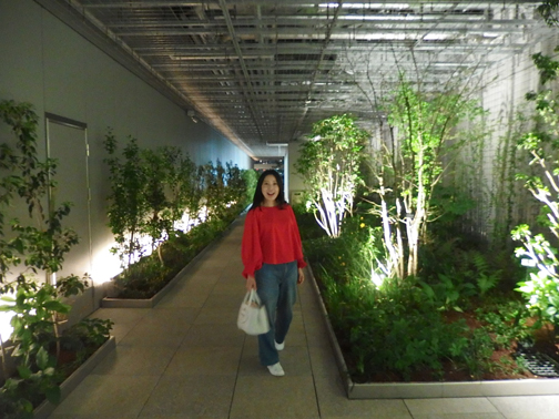 屋上庭園@GINZA SIX(銀座シックス)13階