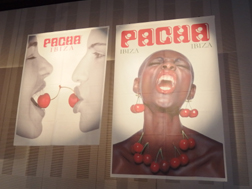 pacha