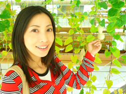 植物工場で栽培されている、ひょうたんだよ