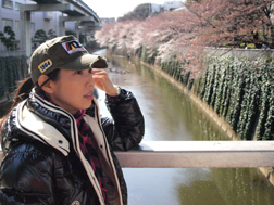 残念、まだ桜は満開じゃない