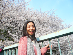 2013年桜