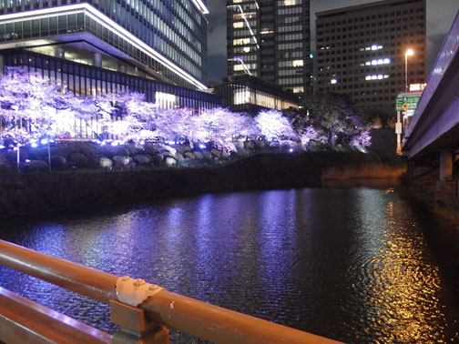 弁慶橋 桜 赤坂ガーデンテラス 紀尾井町 2018