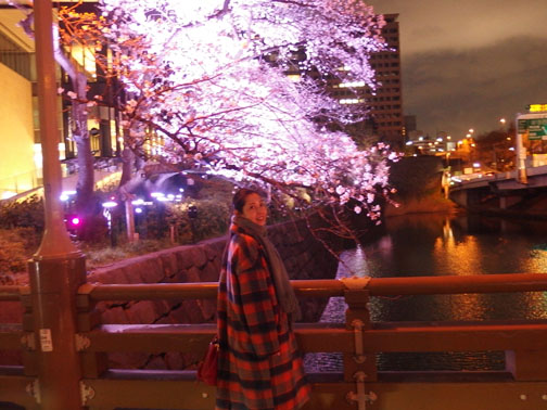 弁慶橋 桜 赤坂ガーデンテラス 紀尾井町 2018