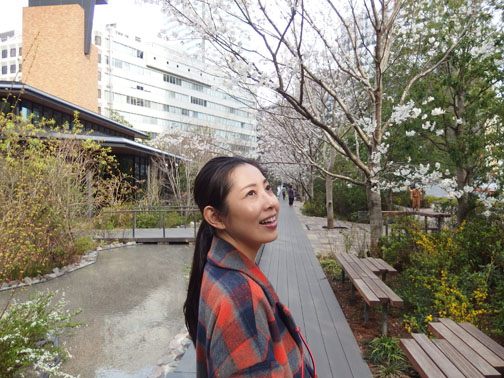 赤坂インターシティエアーの桜
