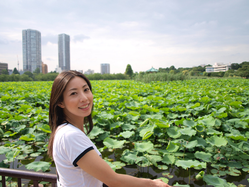 不忍池のハス
