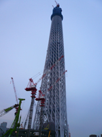 スカイツリー