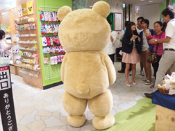 銀座博品館に来たted(テッド)の後ろ姿