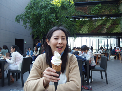 北海道ミルクソフトクリーム