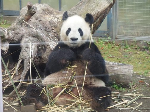 上野動物園
