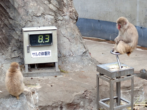 上野動物園