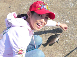 メジナが釣れたよ