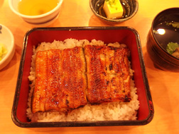 うなぎ2015