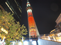 キャンドルツリー