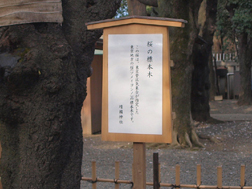 立て看板があるよ